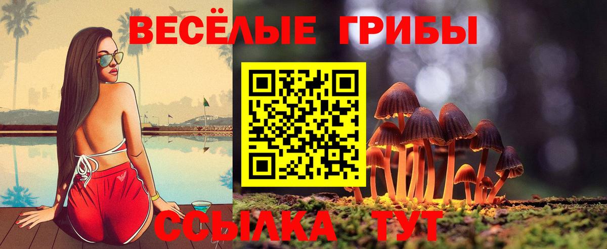 Первоуральск  Псилоцибиновые грибы мицелий  Вход с VPN 